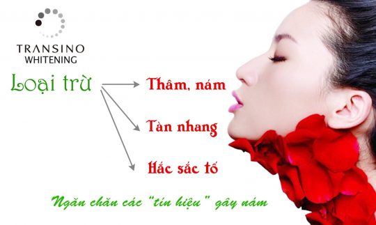 Công Dụng Viên Uống Trị Nám Transino 240v