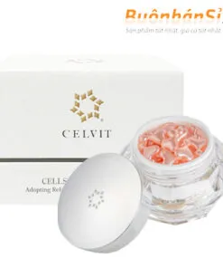 tinh chất sụn mũi cá hồi dds celvit cellstar có tốt không