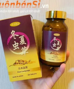 Đông Trùng Hạ Thảo HK2 Pure Cordyceps 360 Viên Nhật Bản mua ở đâu