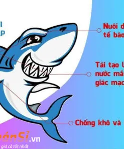 viên uống sụn cá mập costar blue shark cartilage 750mg có tác dụng gì