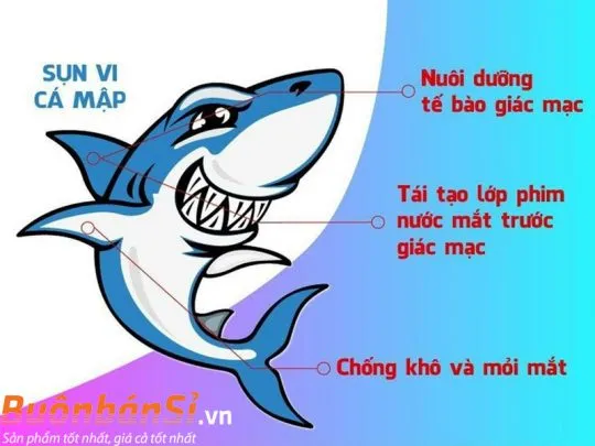 viên uống sụn cá mập costar blue shark cartilage 750mg có tác dụng gì