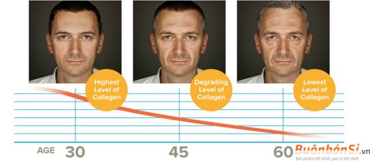 Collagen Youtheory Cho Nam có tốt không