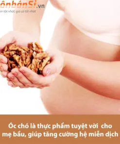 Sữa Óc Chó Golden Health của hàn quốc có tốt không