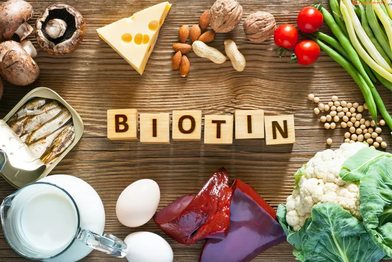 biotin là gì