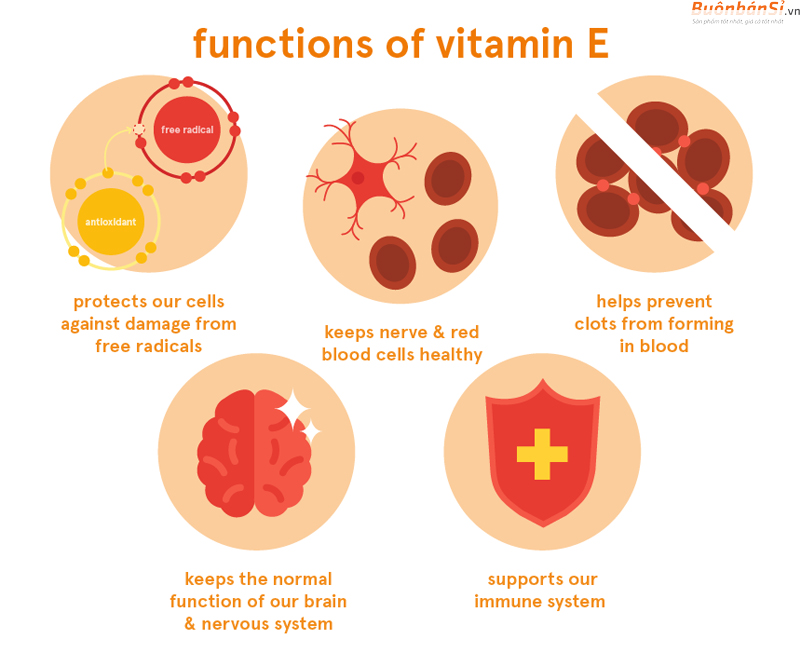 chức năng chính vitamin e
