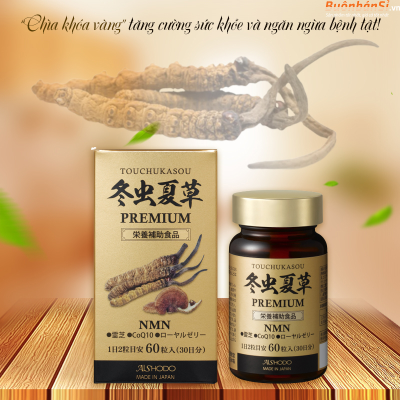Đông Trùng Hạ Thảo NMN Aishodo Tohchukasou Premium 60 Viên 1 đông trùng hạ thảo aishodo touchukasou premium 60 viên chính hãng